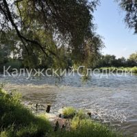 В Калужской области утонули два человека В Калужской области утонули два человека