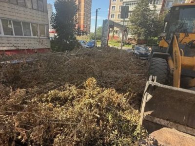 За неделю в Калуге ликвидировано 115 свалок
