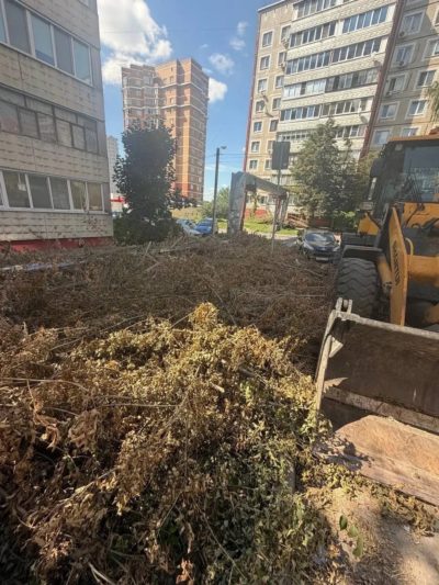 За неделю в Калуге ликвидировано 115 свалок За неделю в Калуге ликвидировано 115 свалок