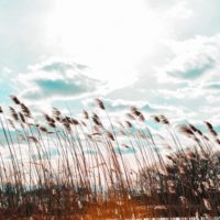 В Калуге ожидается облачная погода с прояснениями и сильный ветер