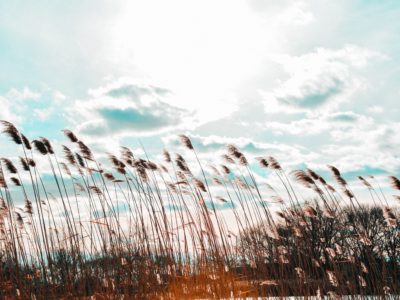 В Калуге ожидается облачная погода с прояснениями и сильный ветер В Калуге ожидается облачная погода с прояснениями и сильный ветер
