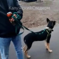 Живодер избил женщину, сделавшую ему замечание