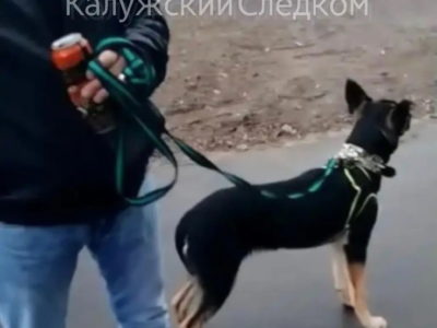 Живодер избил женщину, сделавшую ему замечание Живодер избил женщину, сделавшую ему замечание