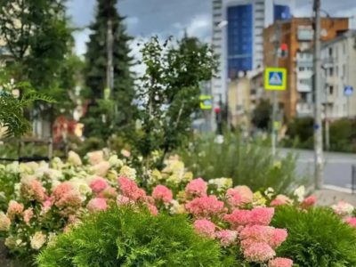 Более 232 тысяч цветов высадили в Калуге с начала года Более 232 тысяч цветов высадили в Калуге с начала года