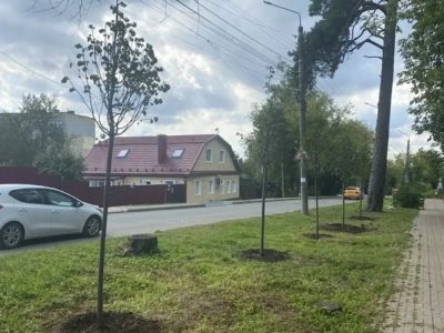 В Калуге продолжаются работы по озеленению