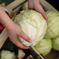 В Калужской области подешевели сезонные фрукты и овощи