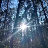 В Калуге ожидается солнечная погода до +23°С