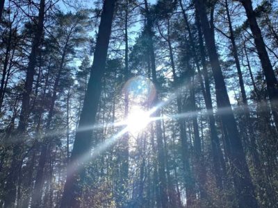 В Калуге ожидается солнечная погода до +23°С