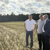 В Калужской области собрано 38 тысяч тонн рапса