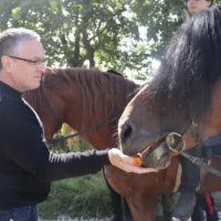 Калужане сразились за кубок главы города по конному спорту