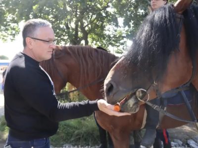 Калужане сразились за кубок главы города по конному спорту