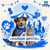 Калужан приглашают посетить ярмарку «Найди друга»