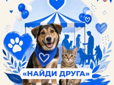 Калужан приглашают посетить ярмарку «Найди друга» Калужан приглашают посетить ярмарку «Найди друга»