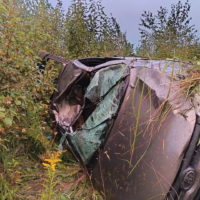 Лось устроил смертельное ДТП на трассе М3 «Украина» Лось устроил смертельное ДТП на трассе М3 «Украина»