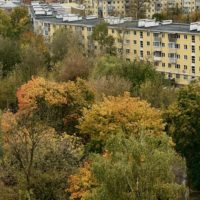 Сегодня в Калуге облачно и без осадков