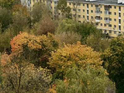 Сегодня в Калуге облачно и без осадков