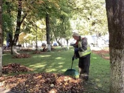 В трудах и заботах