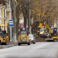 На улице Чичерина обновили историческую аллею