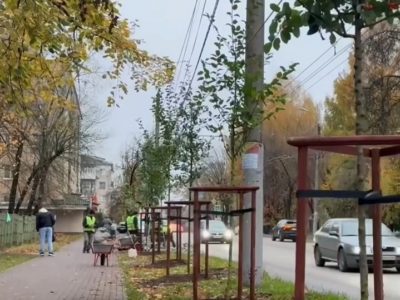 На улице Маршала Жукова высадили яблони На улице Маршала Жукова высадили яблони