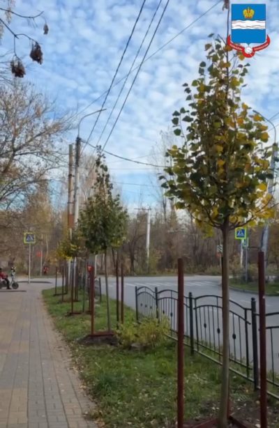 На улице Рылеева началась посадка деревьев