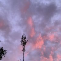 В Калуге ожидается переменная облачность до +11°С В Калуге ожидается переменная облачность до +11°С