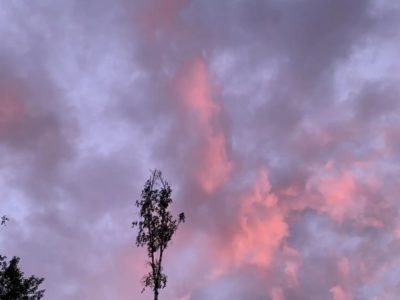 В Калуге ожидается переменная облачность до +11°С В Калуге ожидается переменная облачность до +11°С
