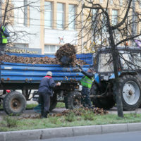 Листья жёлтые нам под ноги ложатся Листья жёлтые нам под ноги ложатся