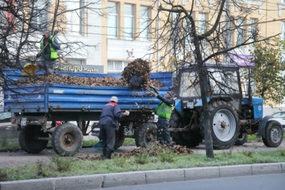 Листья жёлтые нам под ноги ложатся Листья жёлтые нам под ноги ложатся
