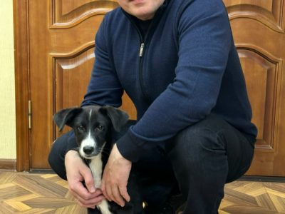 Дмитрий Денисов вновь ищет дом для щенка Дмитрий Денисов вновь ищет дом для щенка